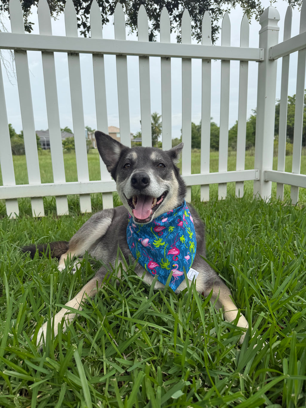 Palm Tree Flamingos Bandana