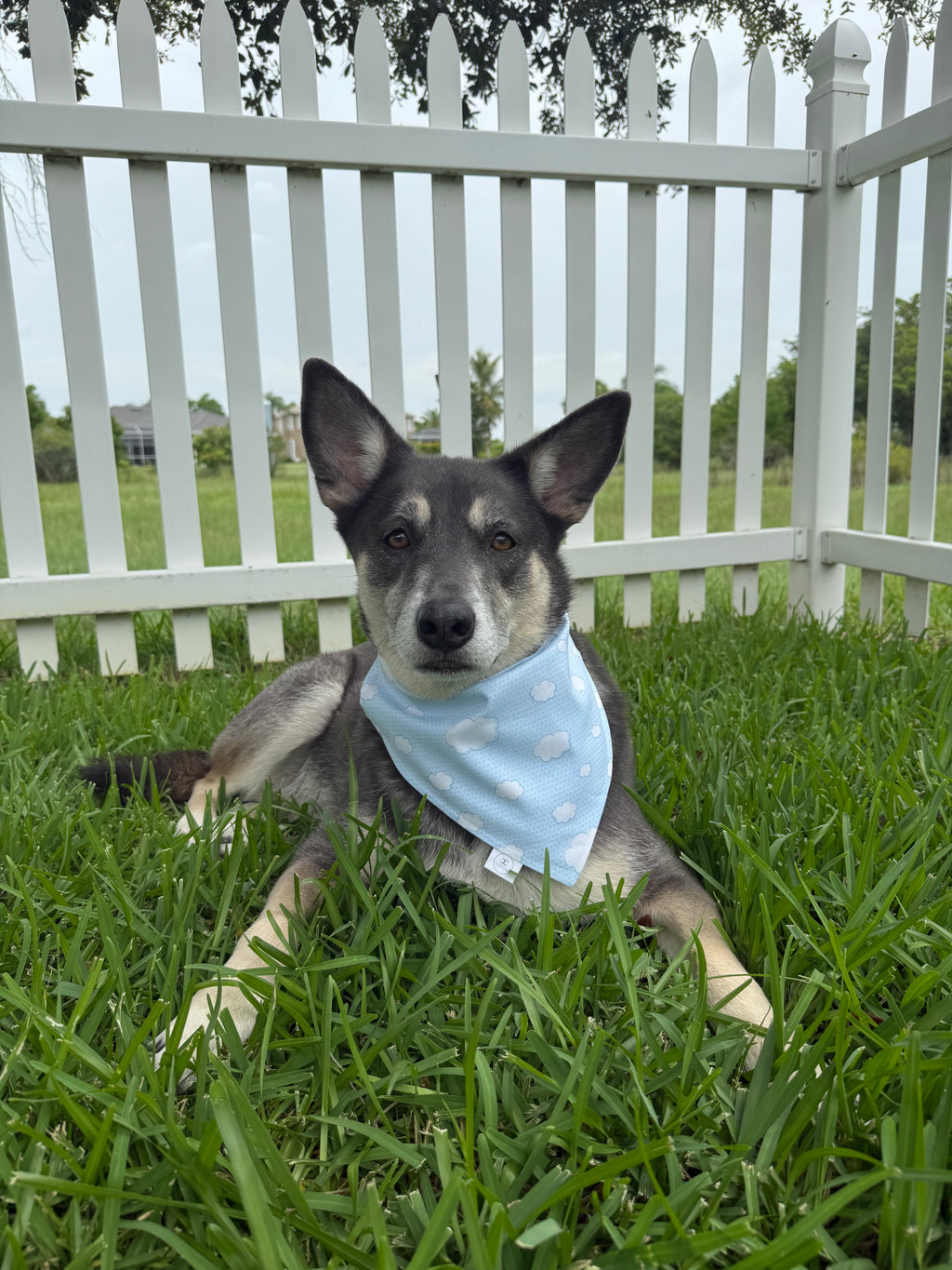 Clouds Bandana