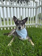 Clouds Bandana