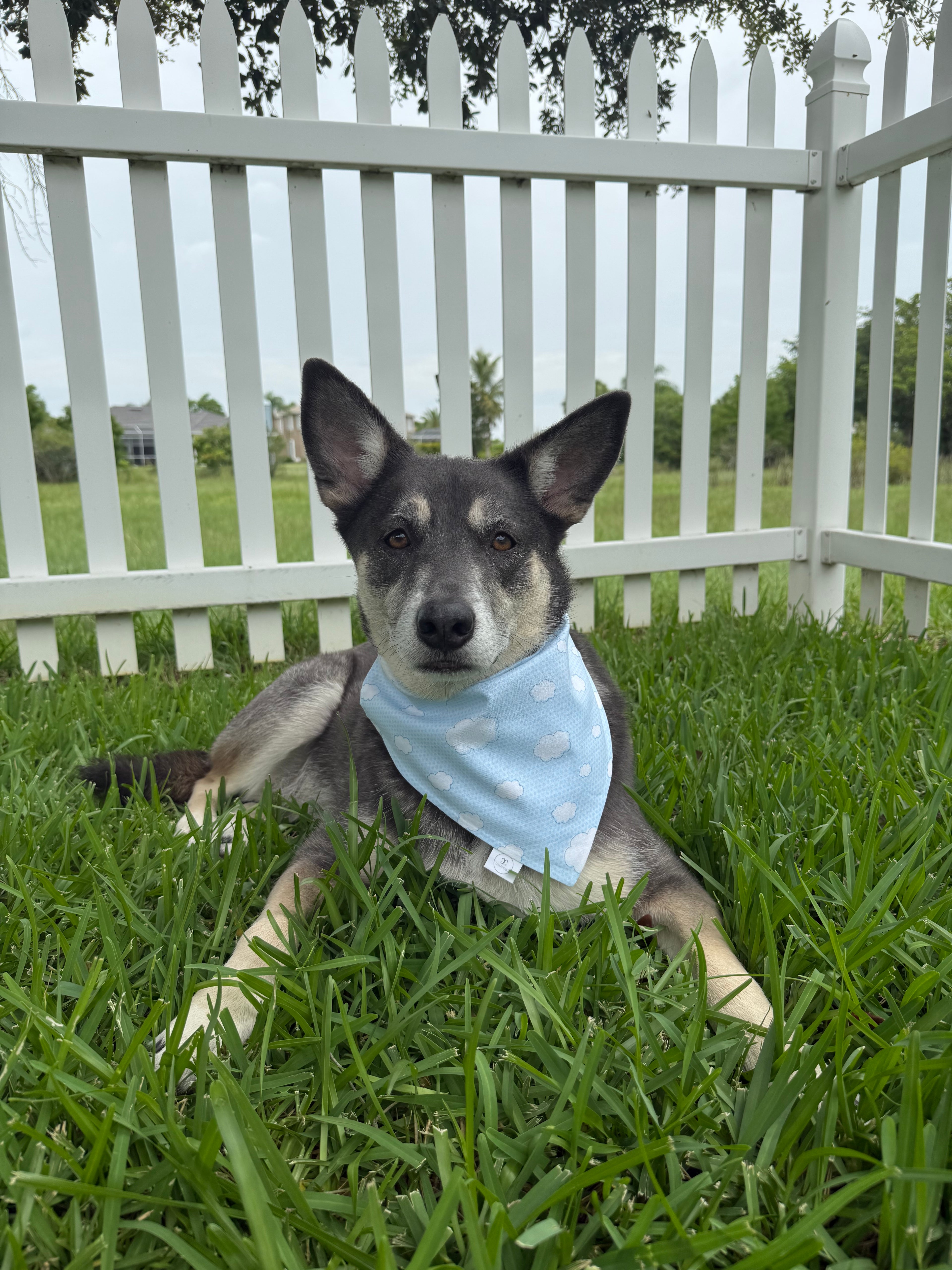 Clouds Bandana