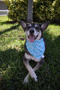 Dog Lover Bandana