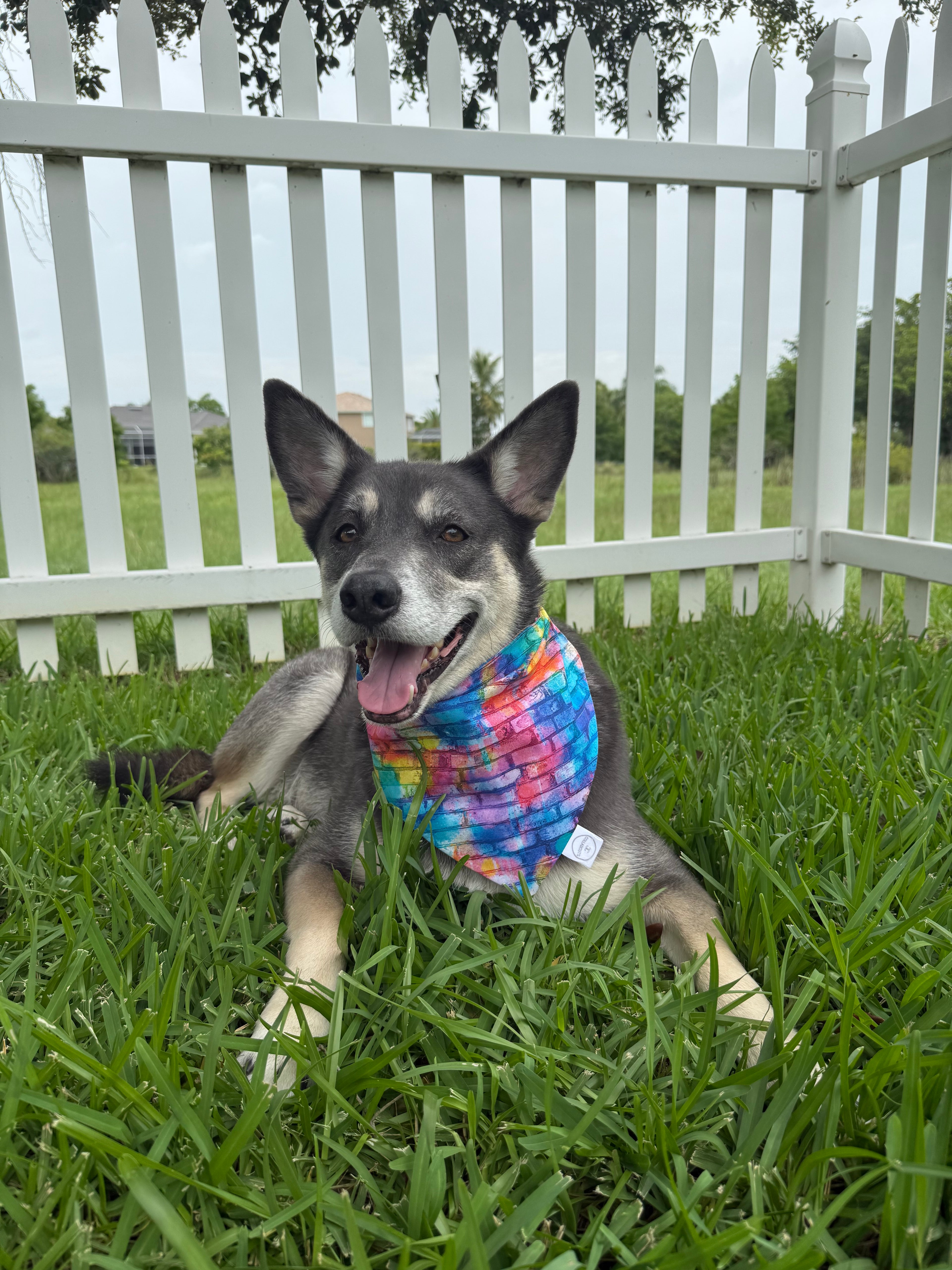 Rainbow Bricks Bandana
