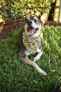 Knights Bandana