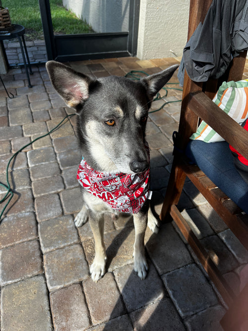 Roll Tide Bandana