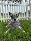 Houndstooth Bandana