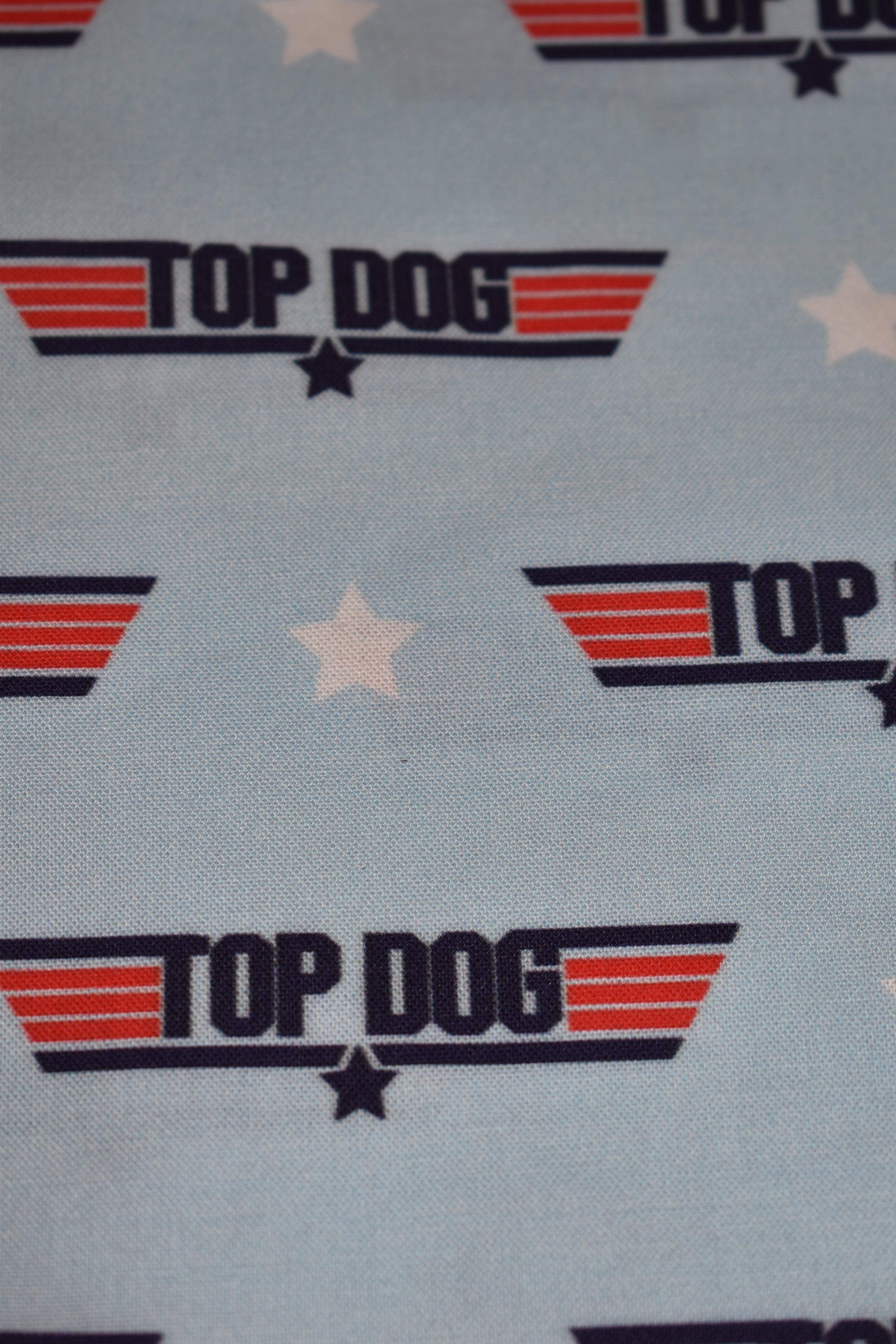 Top Dog Bandana
