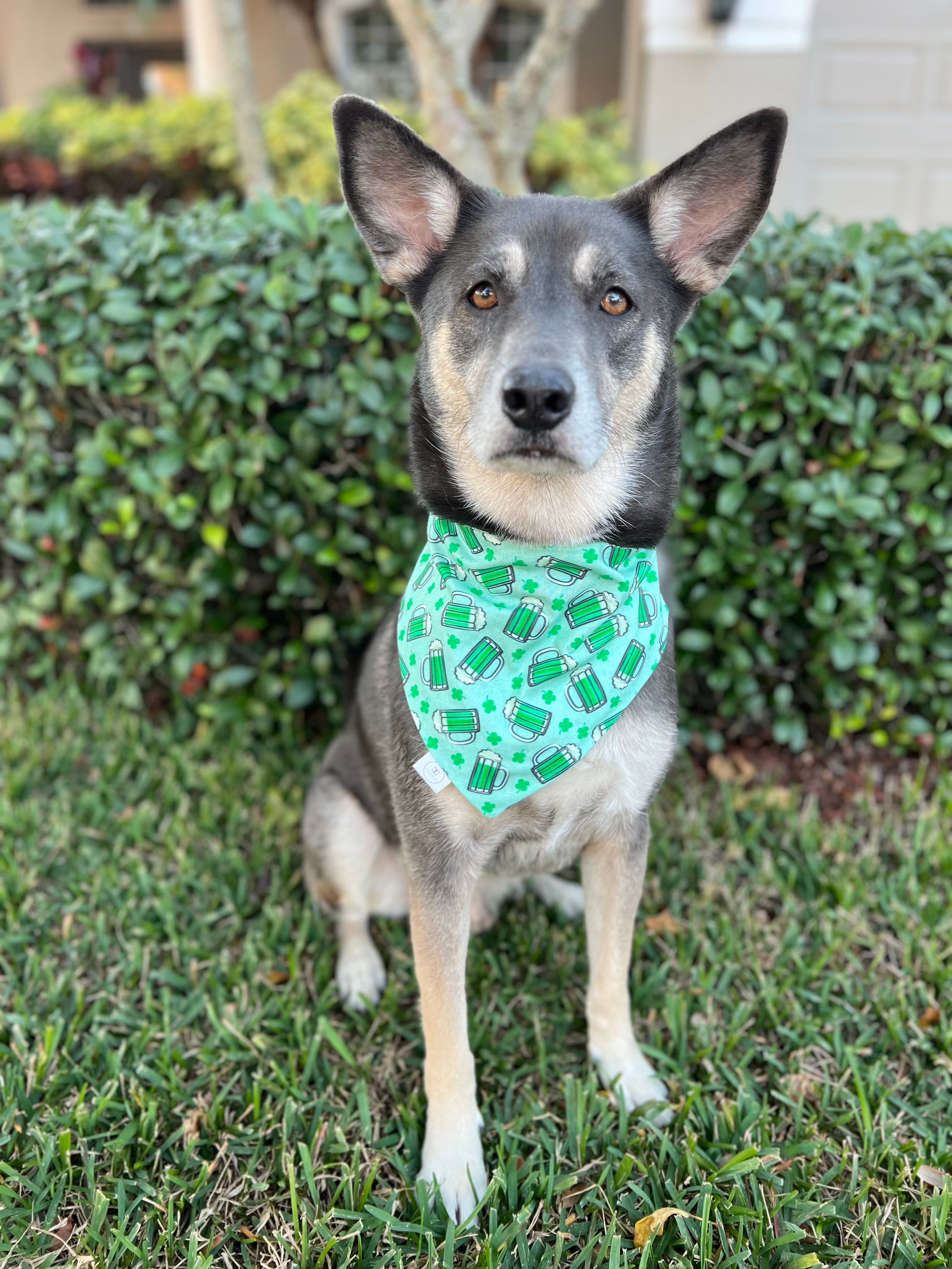 Green Beer Bandana