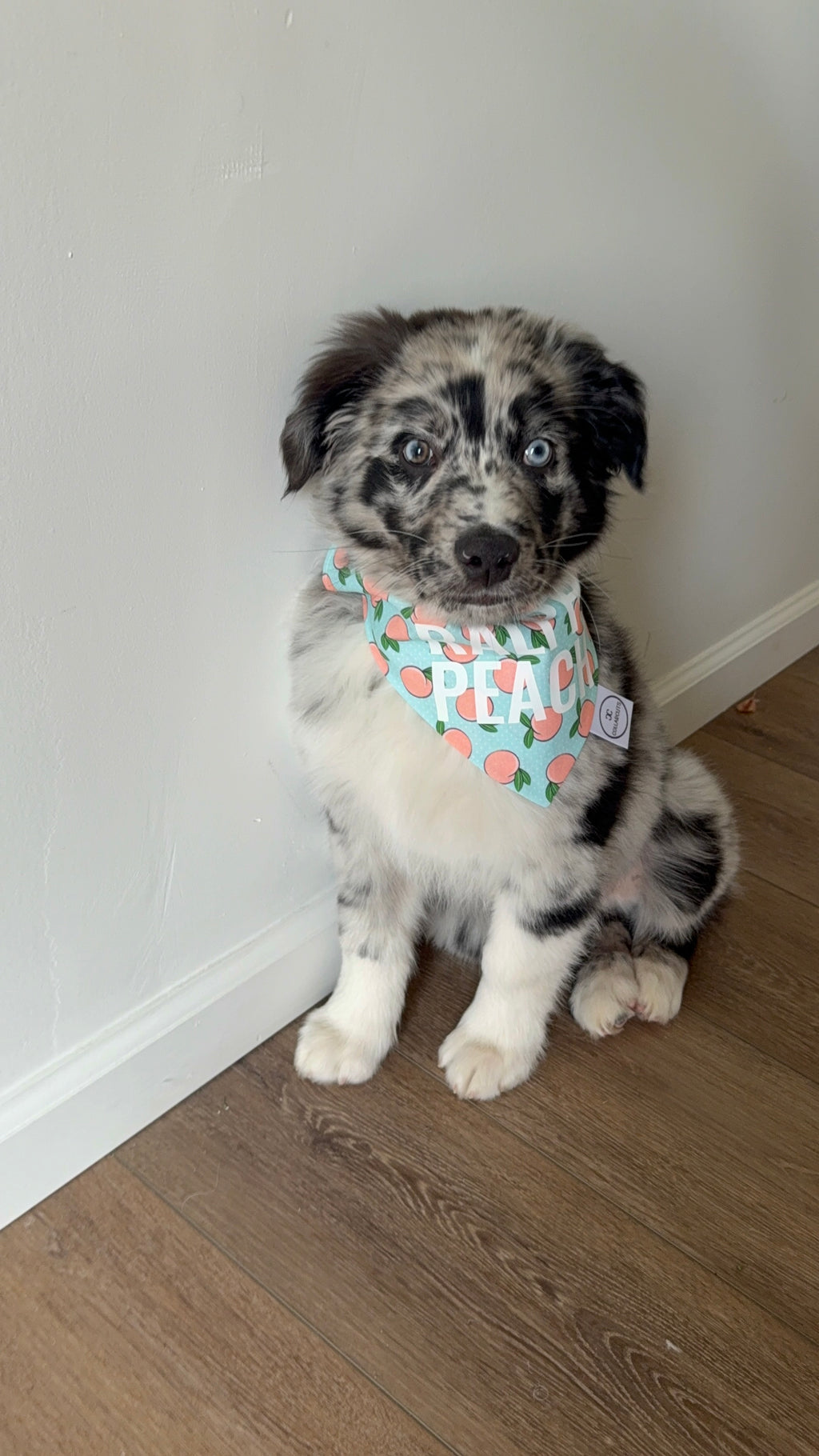 Peaches Bandana