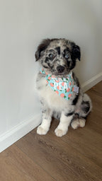 Peaches Bandana