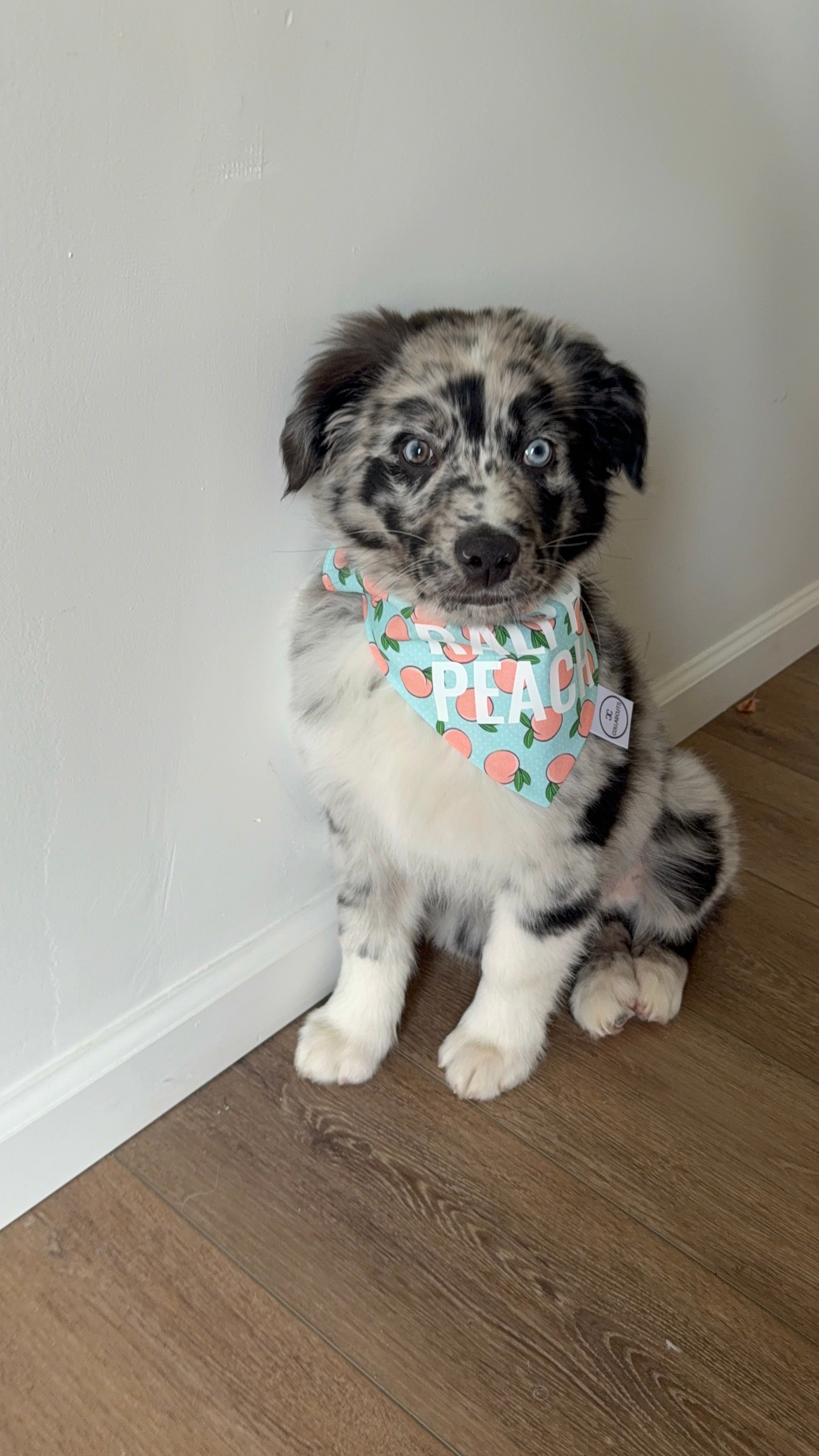 Peaches Bandana
