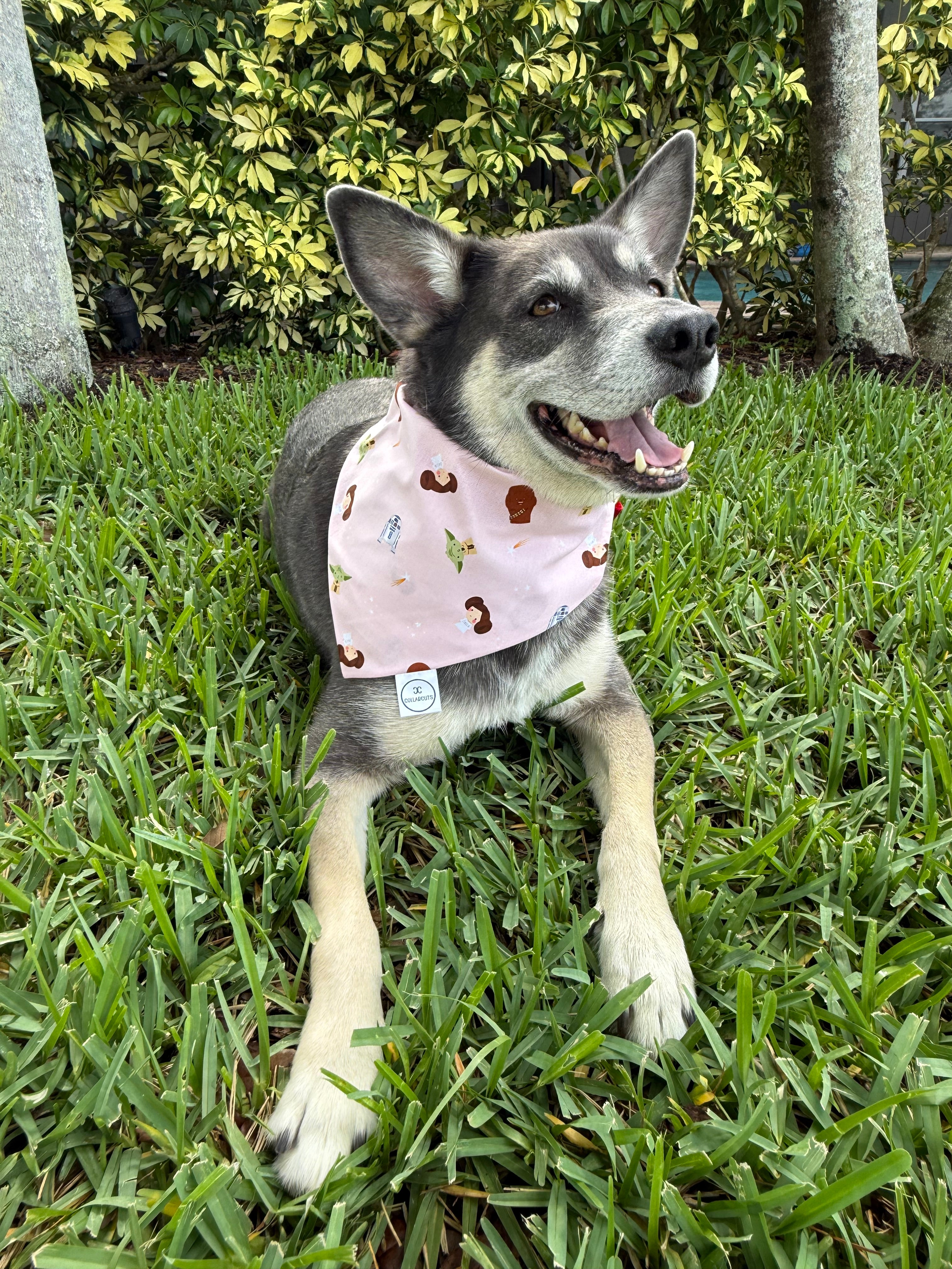 Pink Side of the Force Bandana