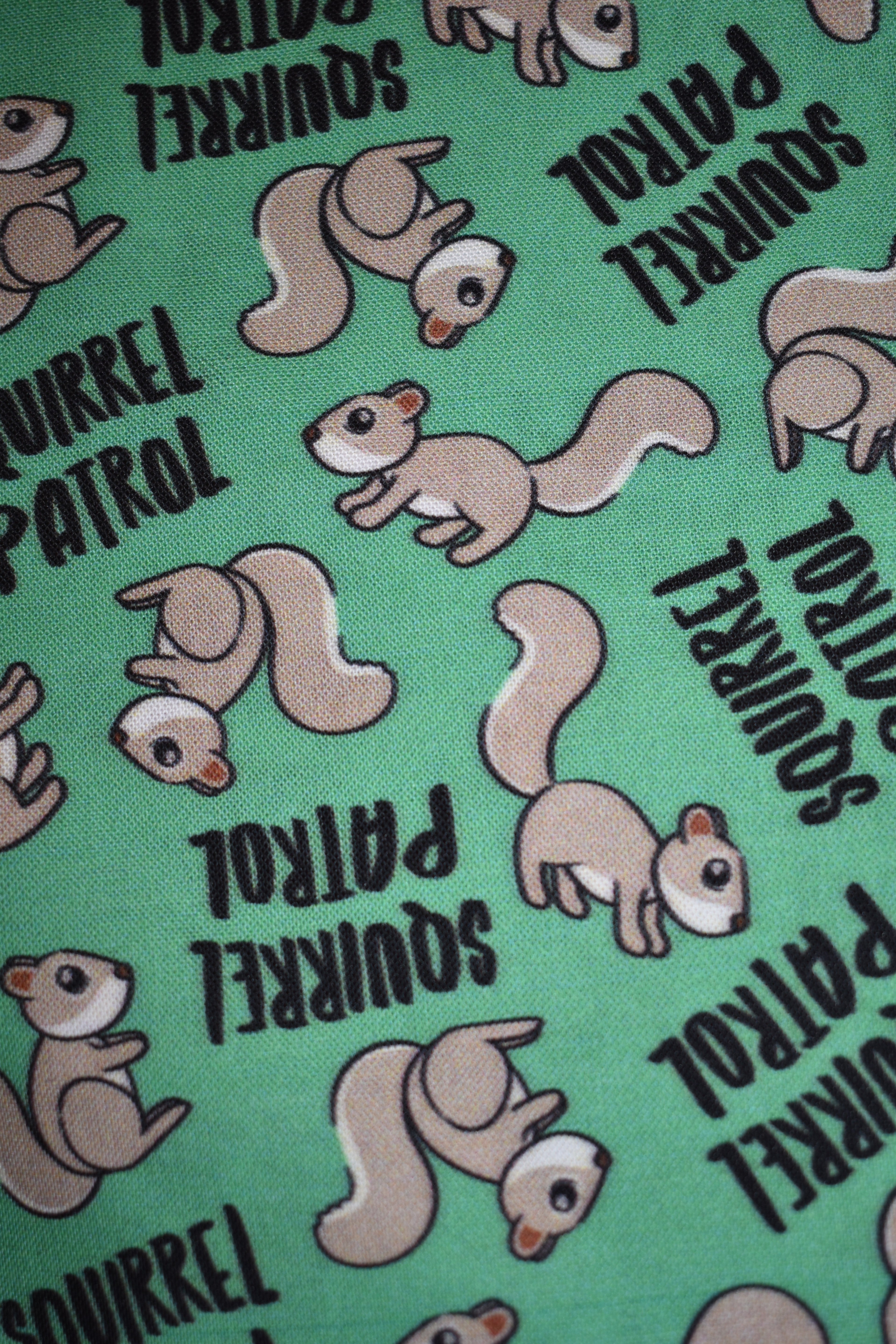 Squirrel Patrol Bandana