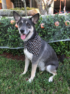 Pumpkin Ghosts Bandana