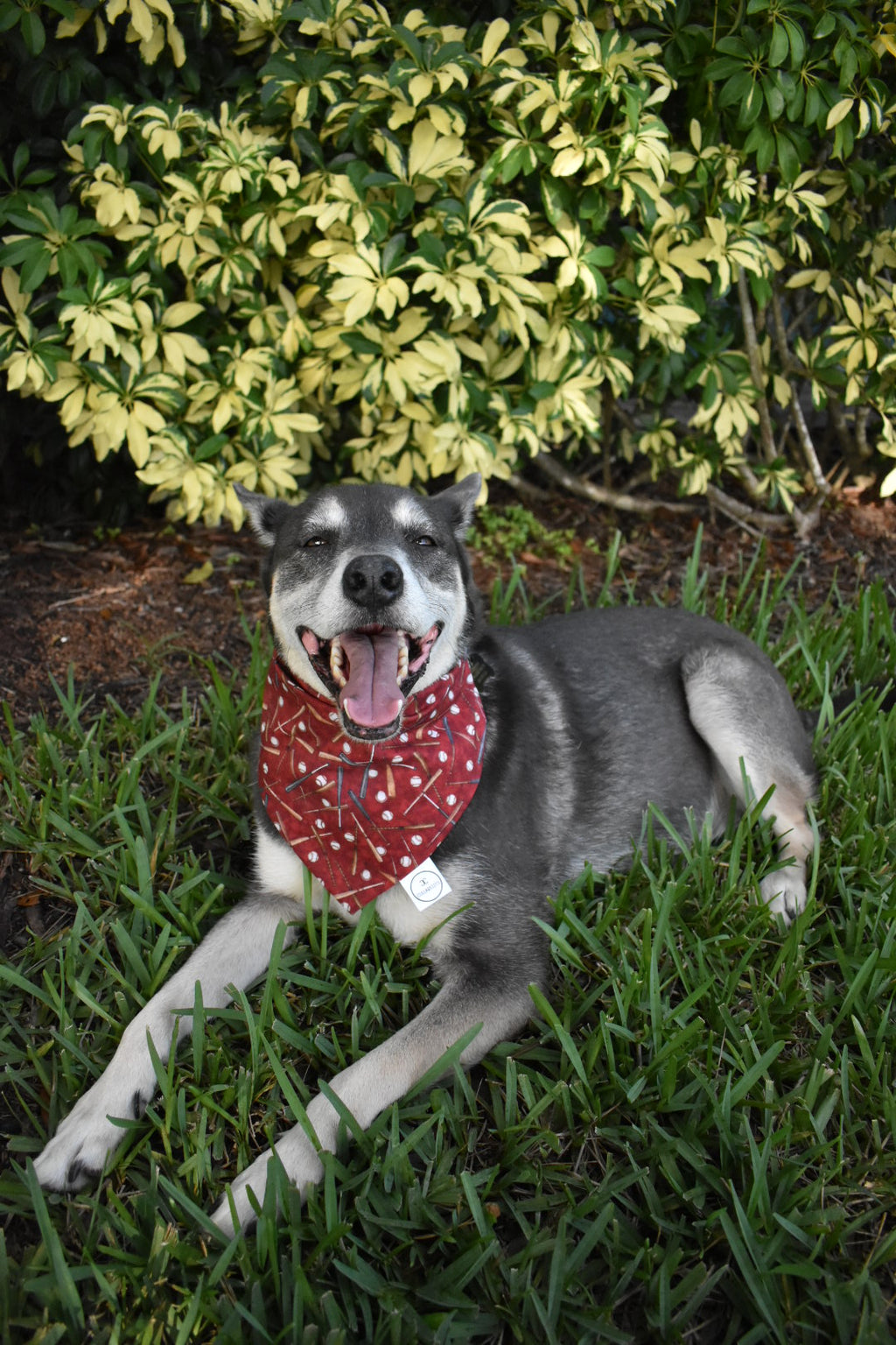 Baseball Bat Bandana