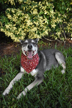 Baseball Bat Bandana