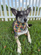 Kawaii Mini Hero's Bandana