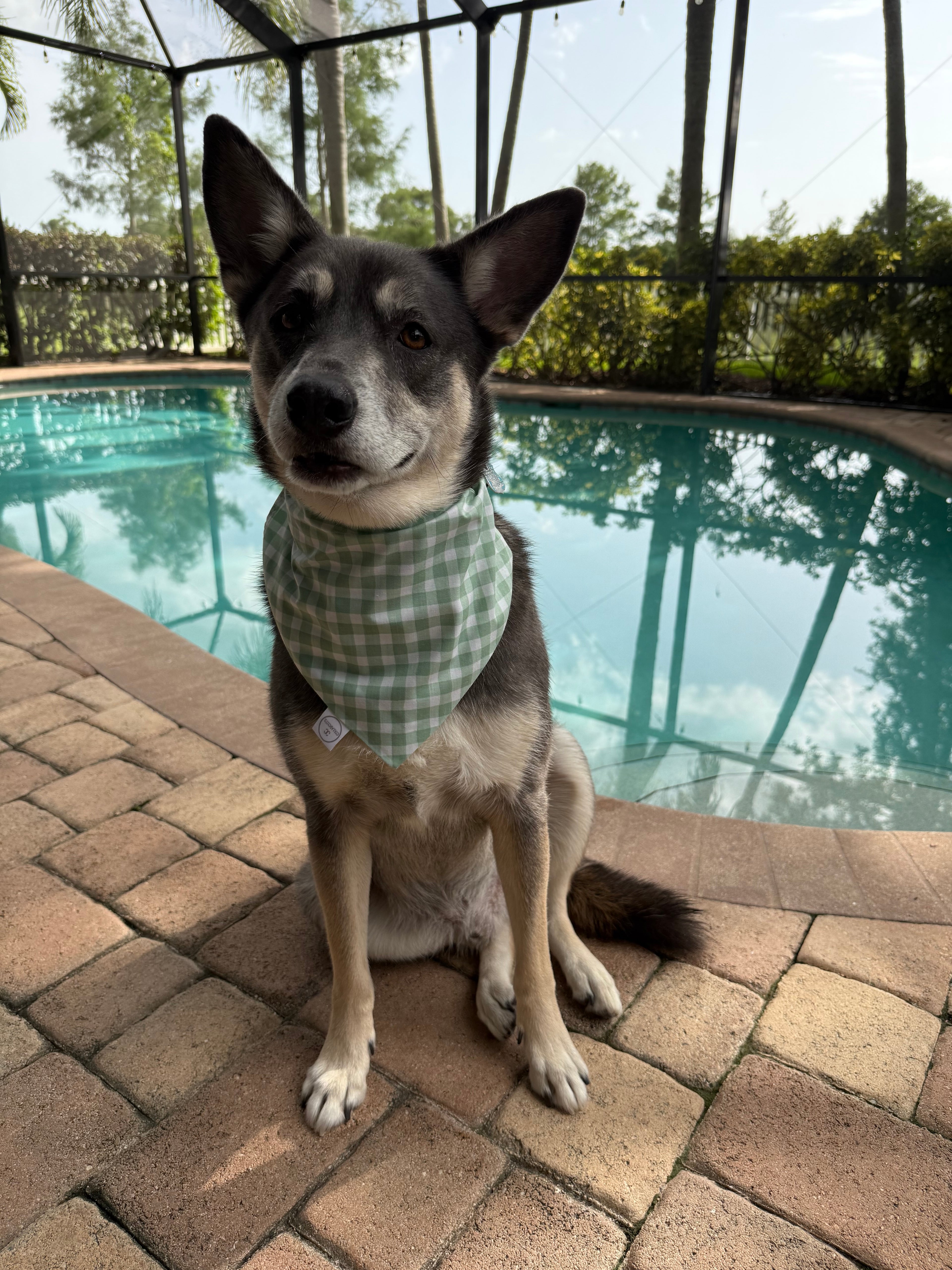 Faded Green Buffalo Check Bandana