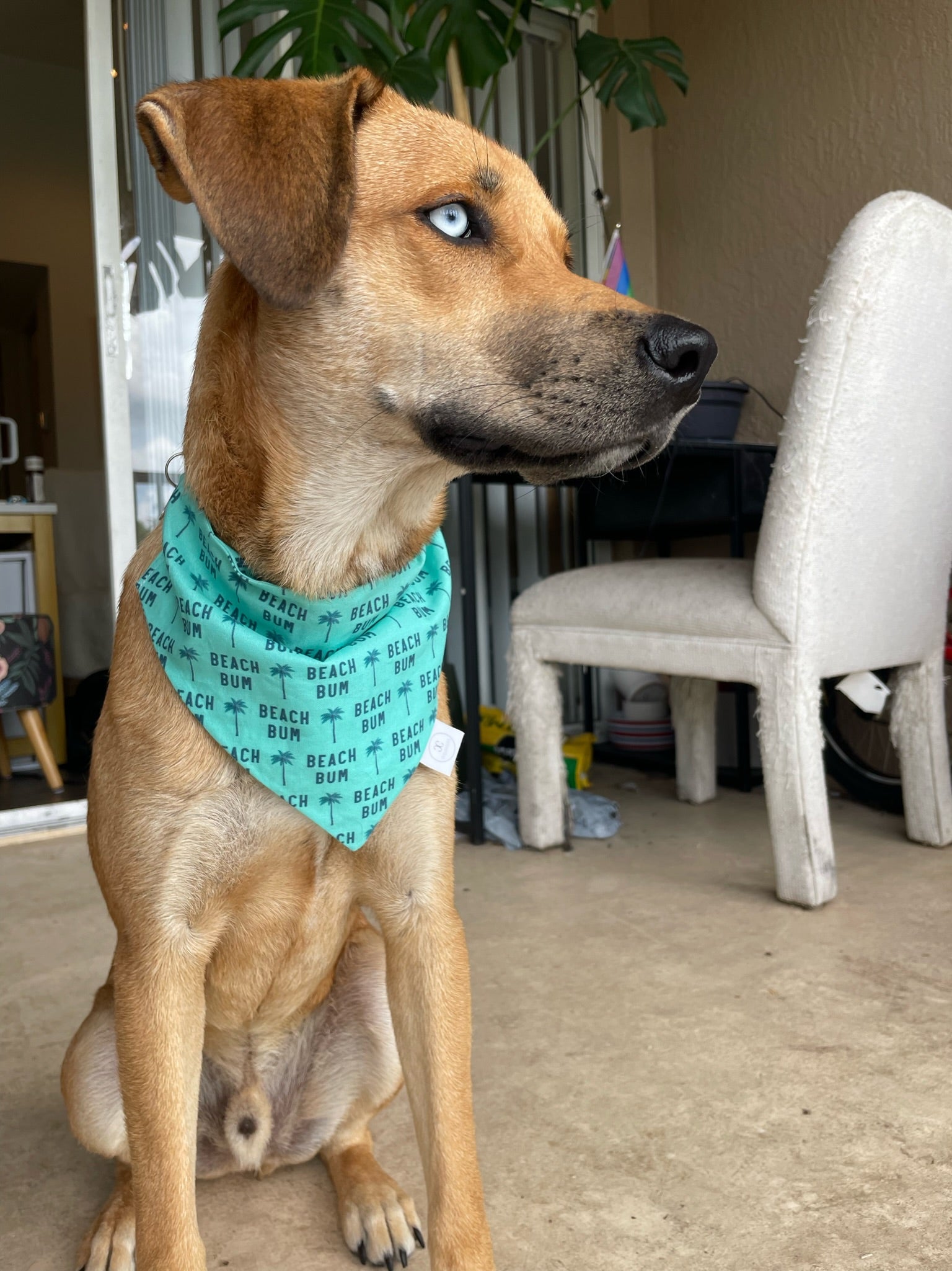Beach Bum Bandana