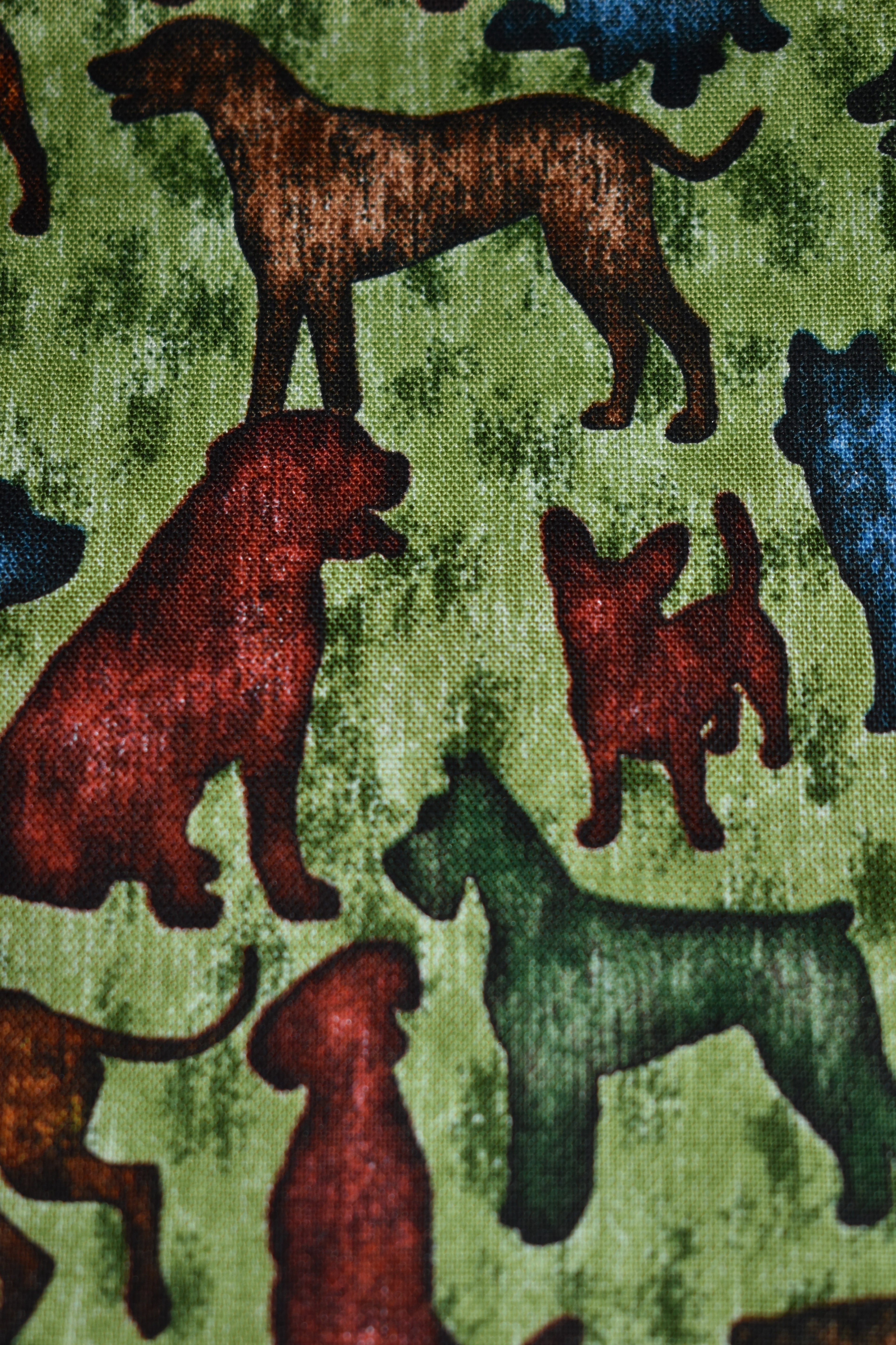Dog Breeds Bandana