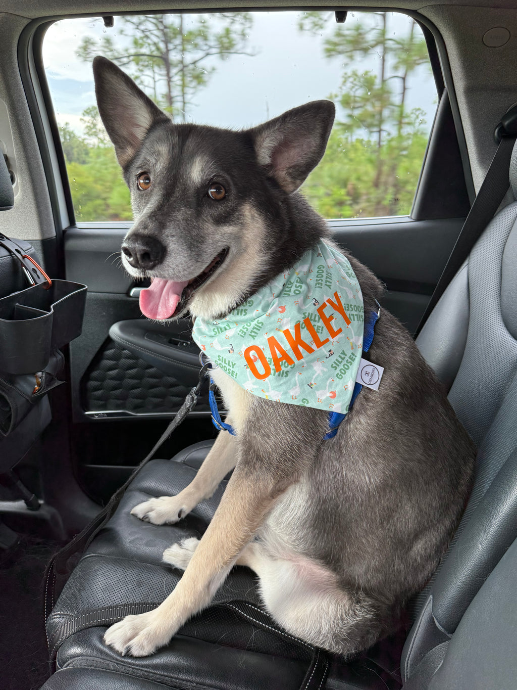Silly Goose Bandana