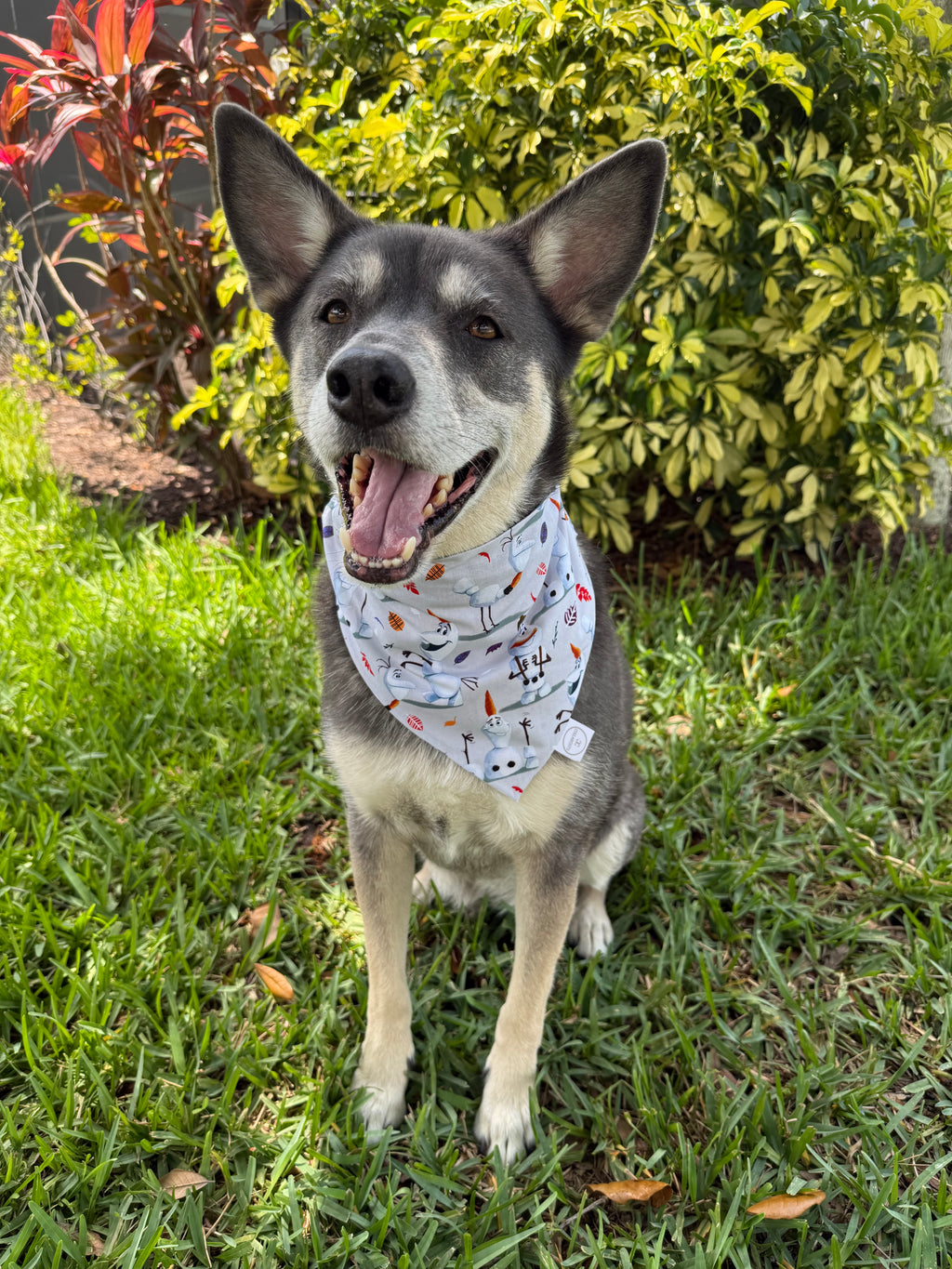 Magical Snowman Bandana