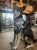 Dog Brews Bandana