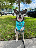 Suns Out Tongues Out Bandana