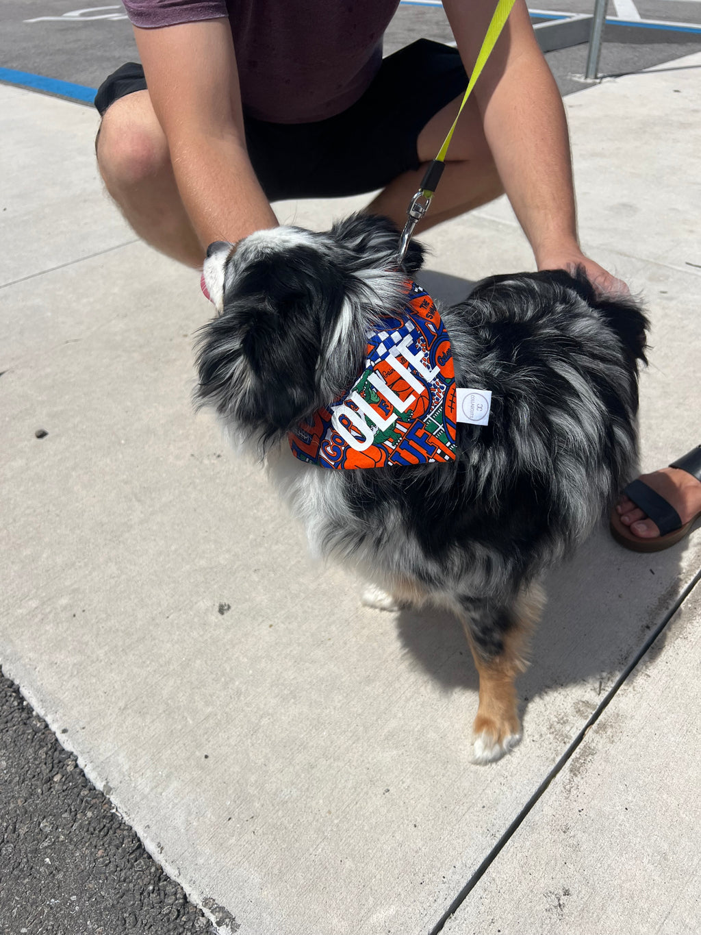 Gators Bandana