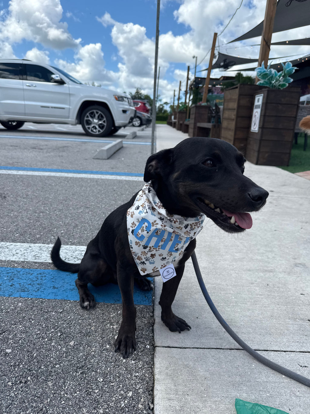 Neutral Paw Prints Bandana