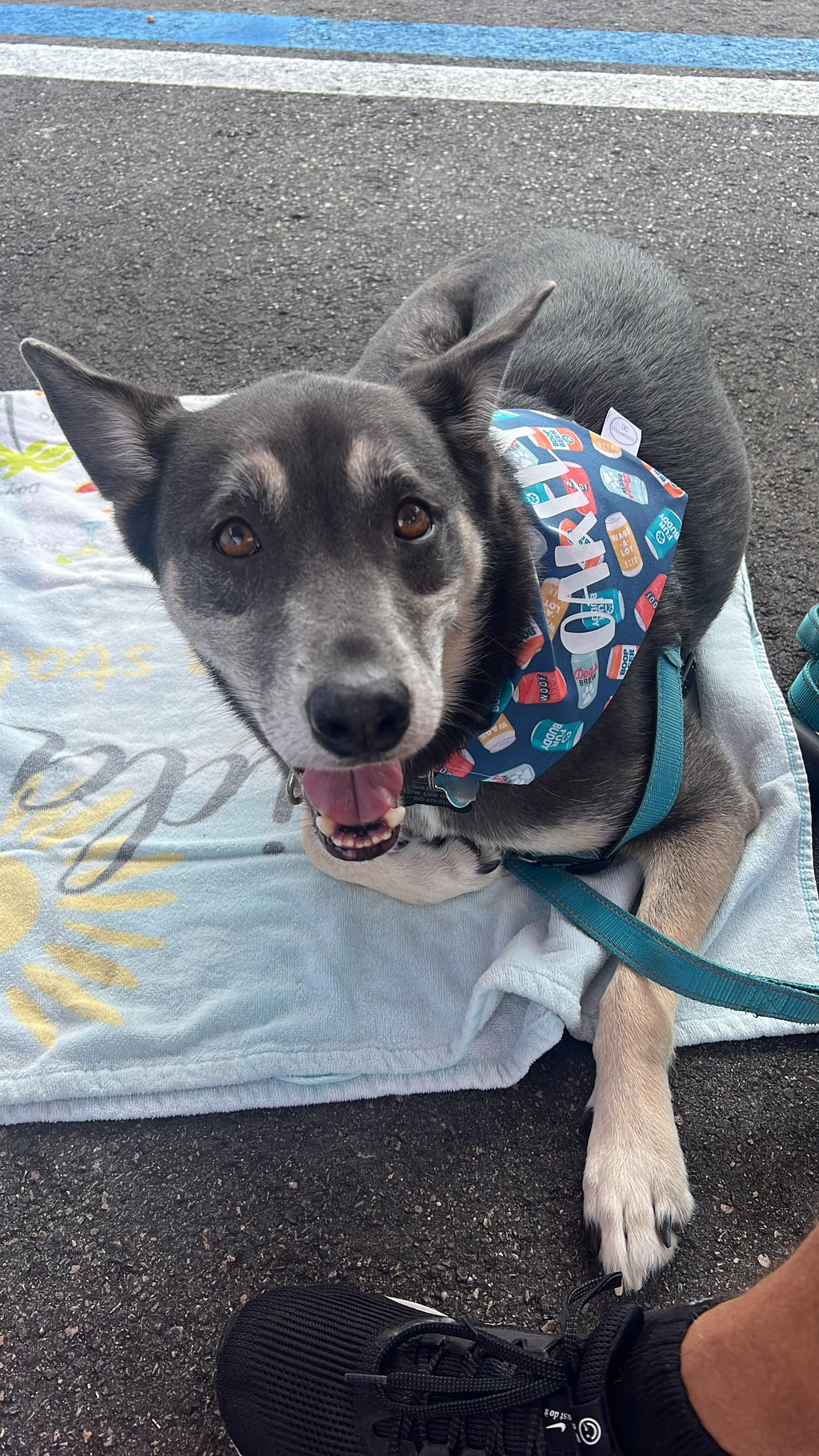 Boop Beer Bandana