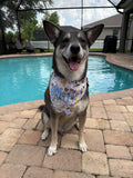 Mouse Park Snacks Bandana