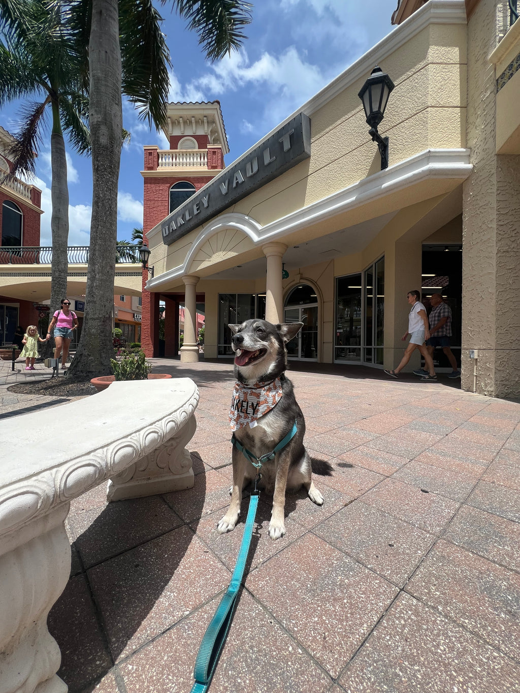 Dog Bone Stripes Bandana