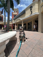 Dog Bone Stripes Bandana