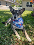 USA Puppy Bandana