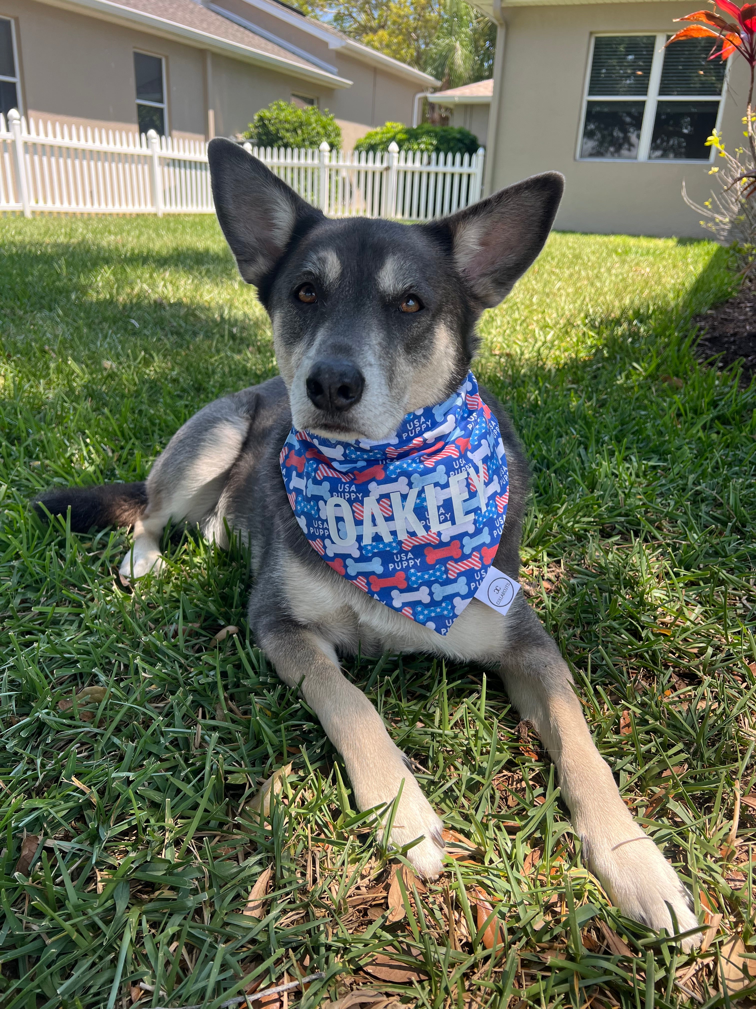USA Puppy Bandana