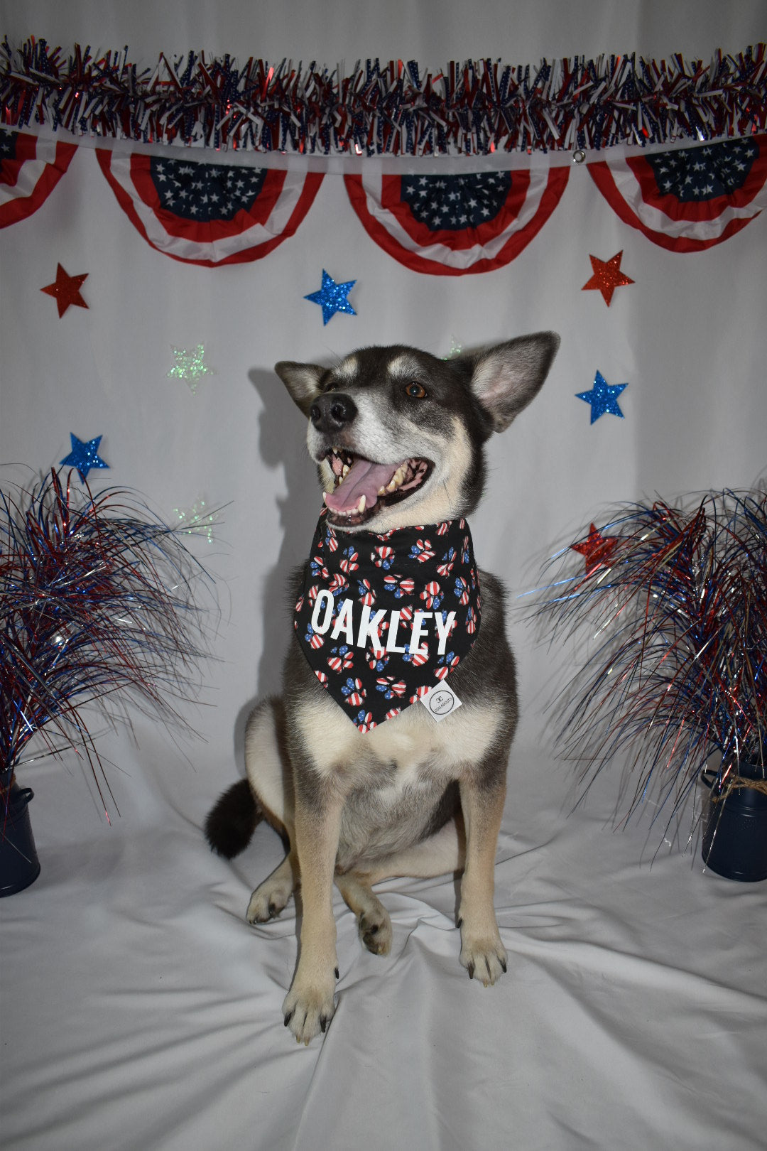 Paw Print Flag Bandana