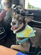 Banana Stripes Bandana