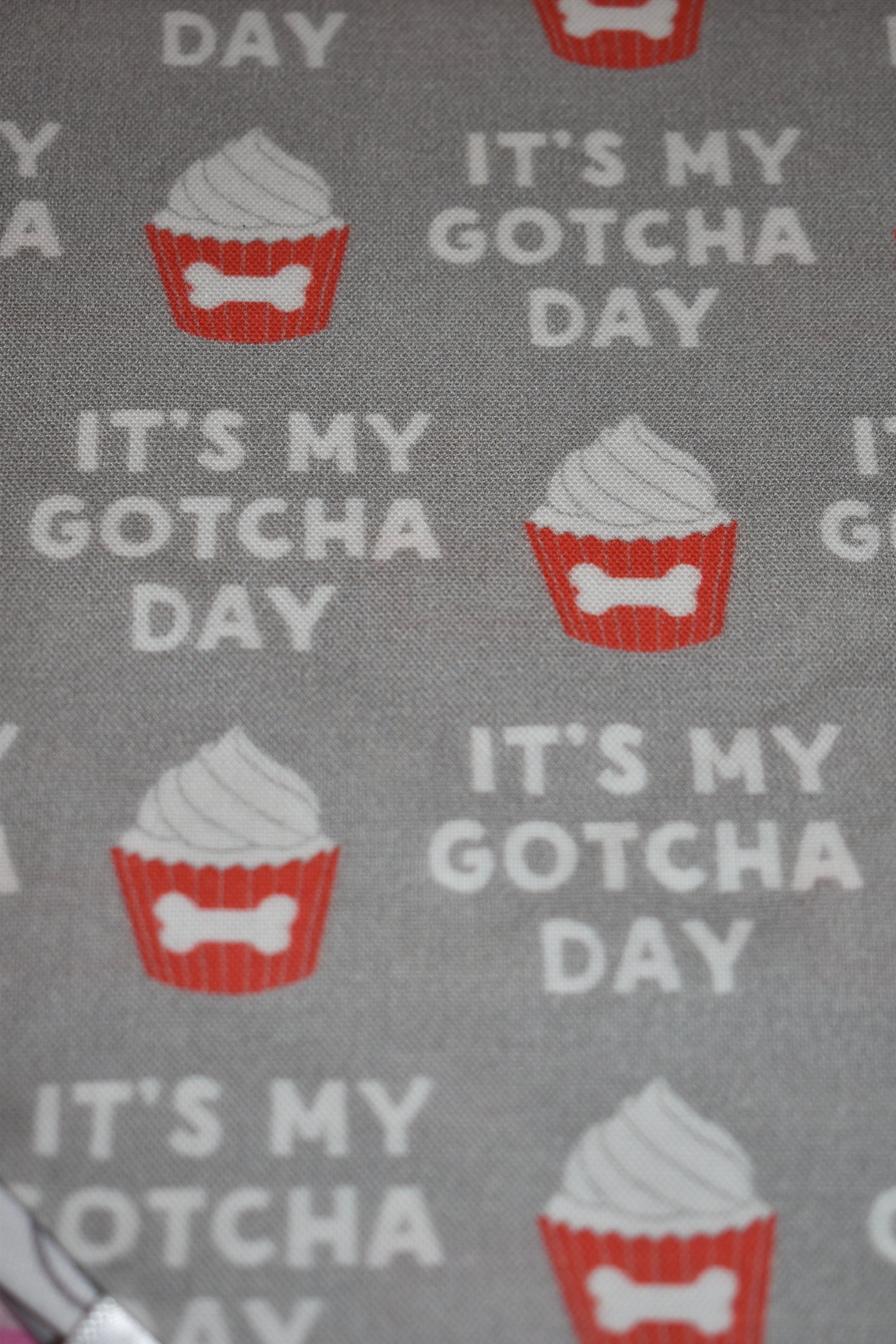 Gotcha Day Bandana