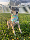 Fruit Pool Floats Bandana