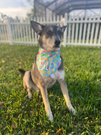 Fruit Pool Floats Bandana