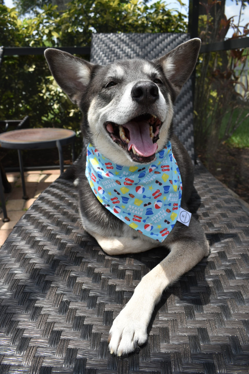 Beach Please Bandana