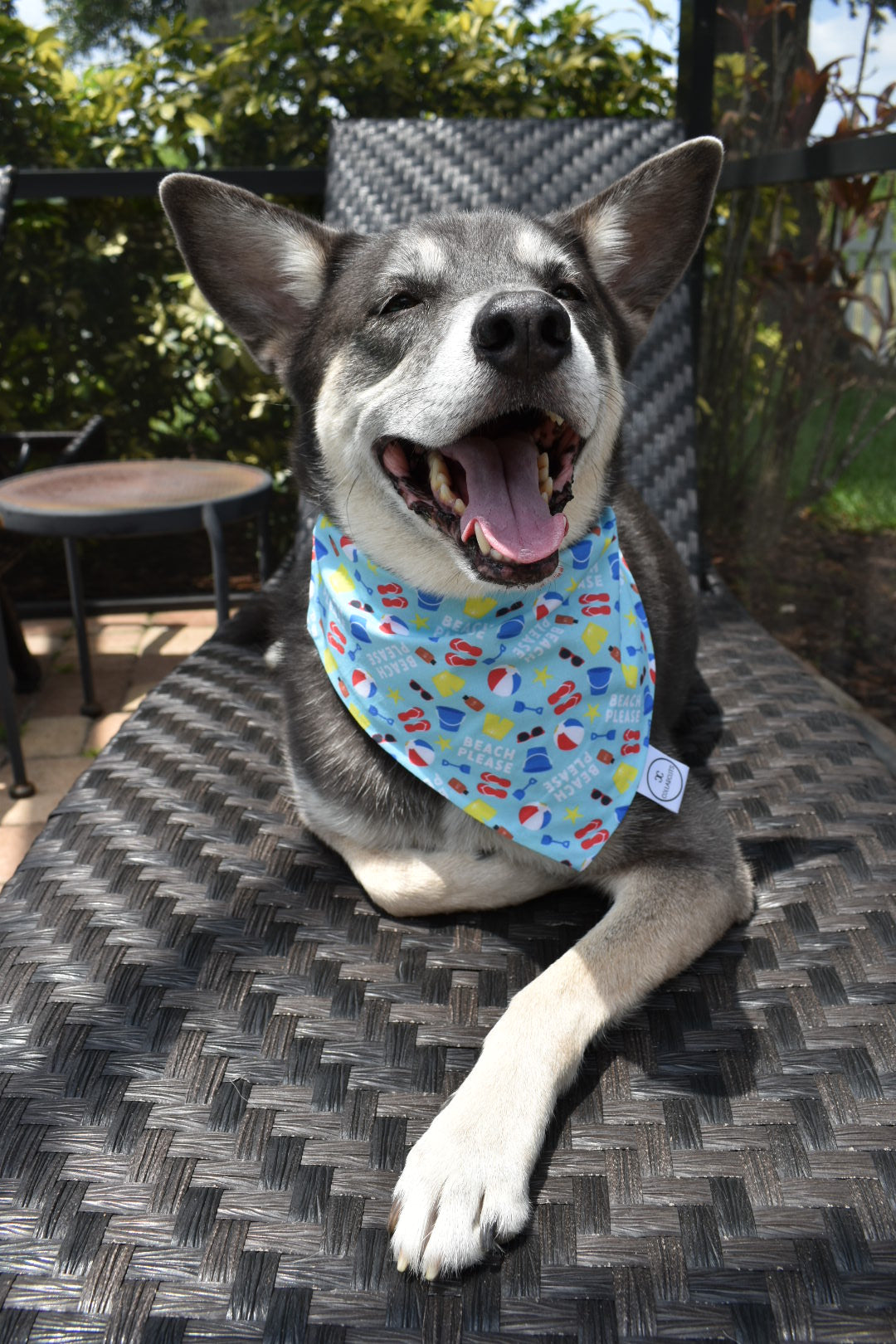 Beach Please Bandana
