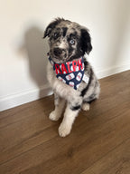 Dog Brews Bandana