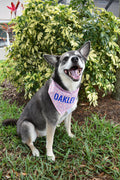 Rainbow Paw Prints Bandana
