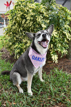 Rainbow Paw Prints Bandana