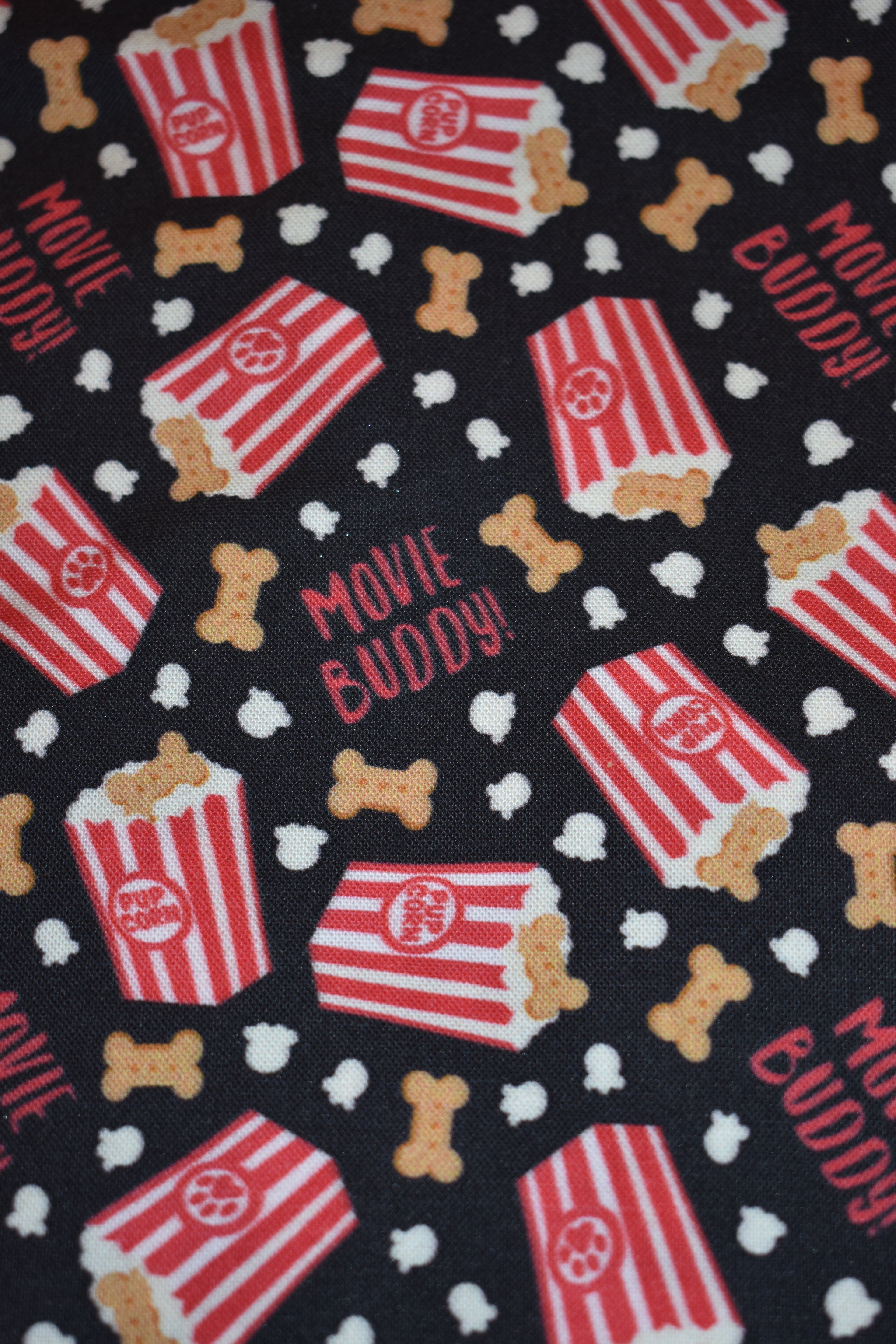 Movie Buddy Bandana