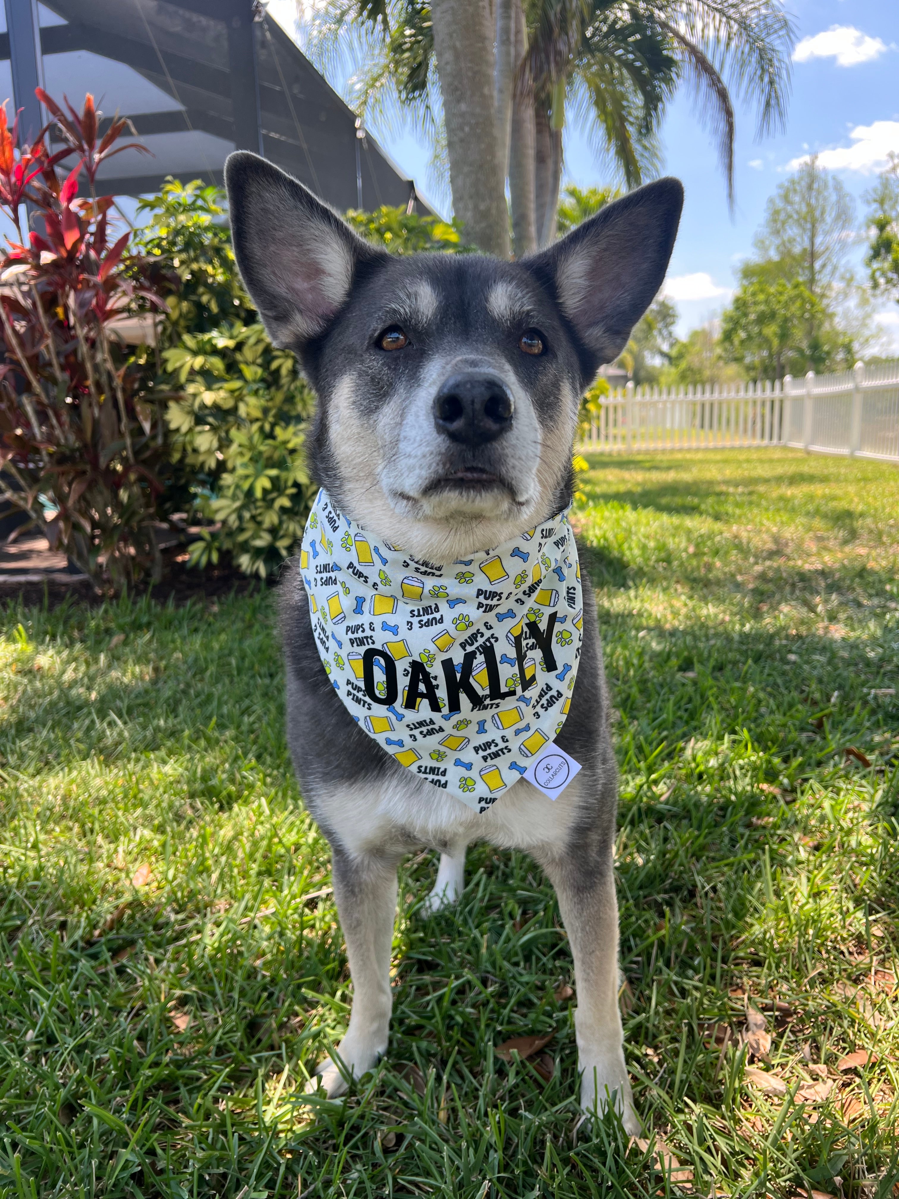 Pups and Pints Bandana
