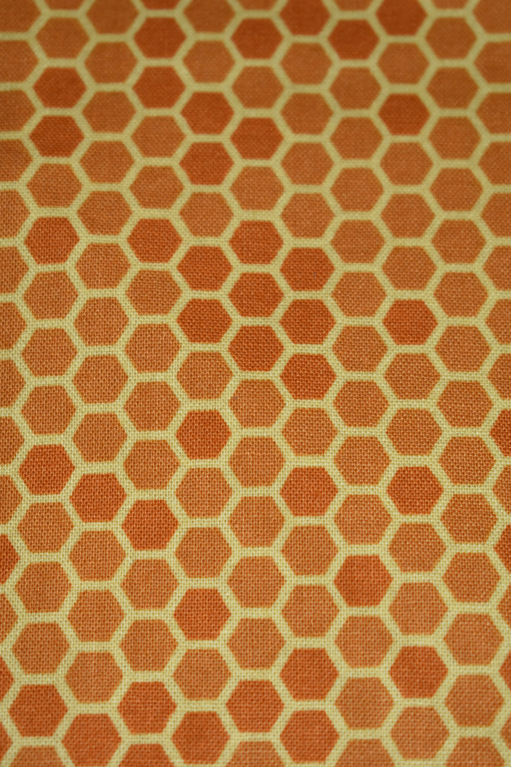 Honeycombs Bandana
