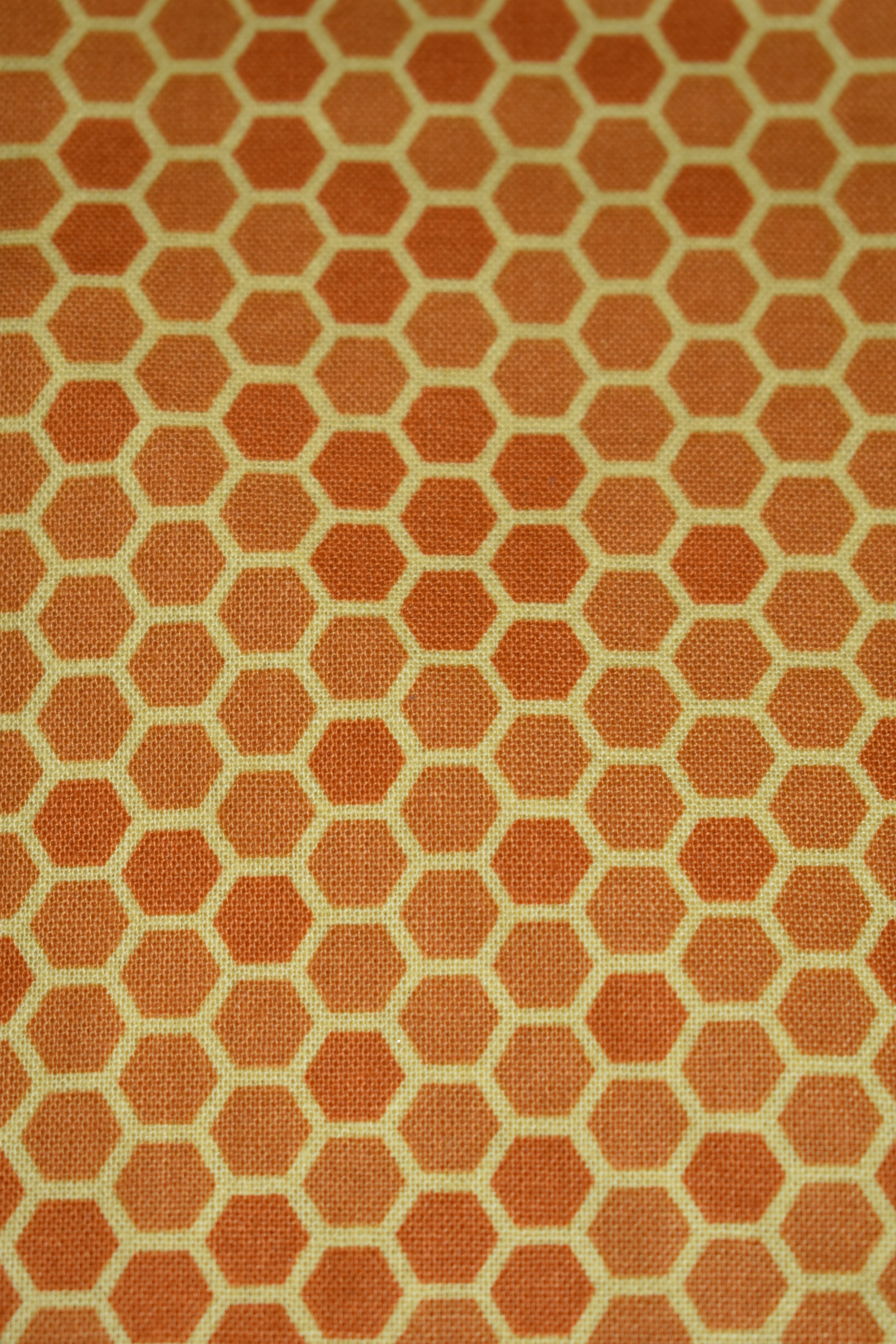 Honeycombs Bandana