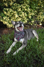 Breast Cancer Awareness Bandana